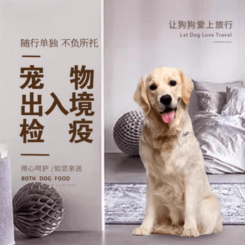 五指山市宠物托运到哥伦比亚猫狗宠物入境规定和