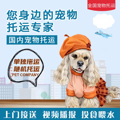 满财五指山市宠物全球达宠物托运作为专业的宠物运输代理机构